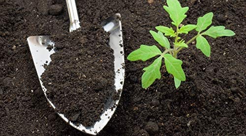 Cocogarden® Cocopeat Block - Expands Up to 75 litres of Coco Peat Powder & Cocogarden Enriched Vermicompost 5 Kg - Effective and Complete Plant Food