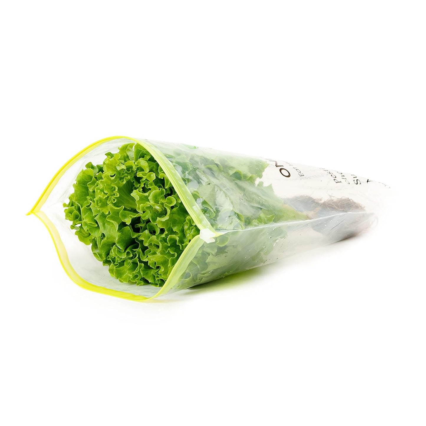 OnlyHydroponics Lettuce Locarno - Live Plant, 120-150gms