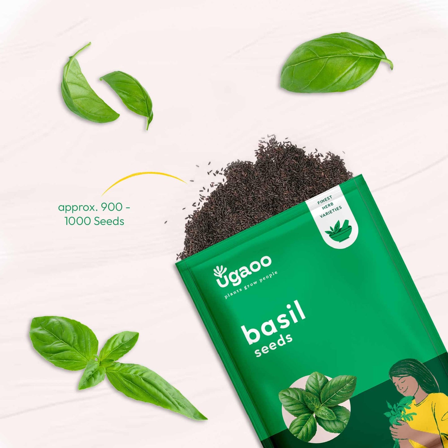 UGAOO Italian Basil Herb Seeds (Green, Pack of 1000)